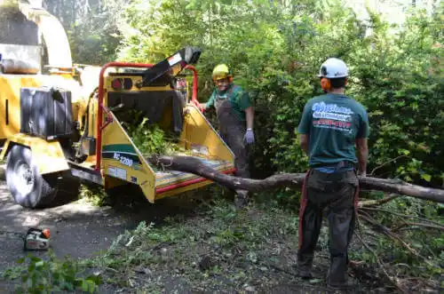 tree services Clay Center